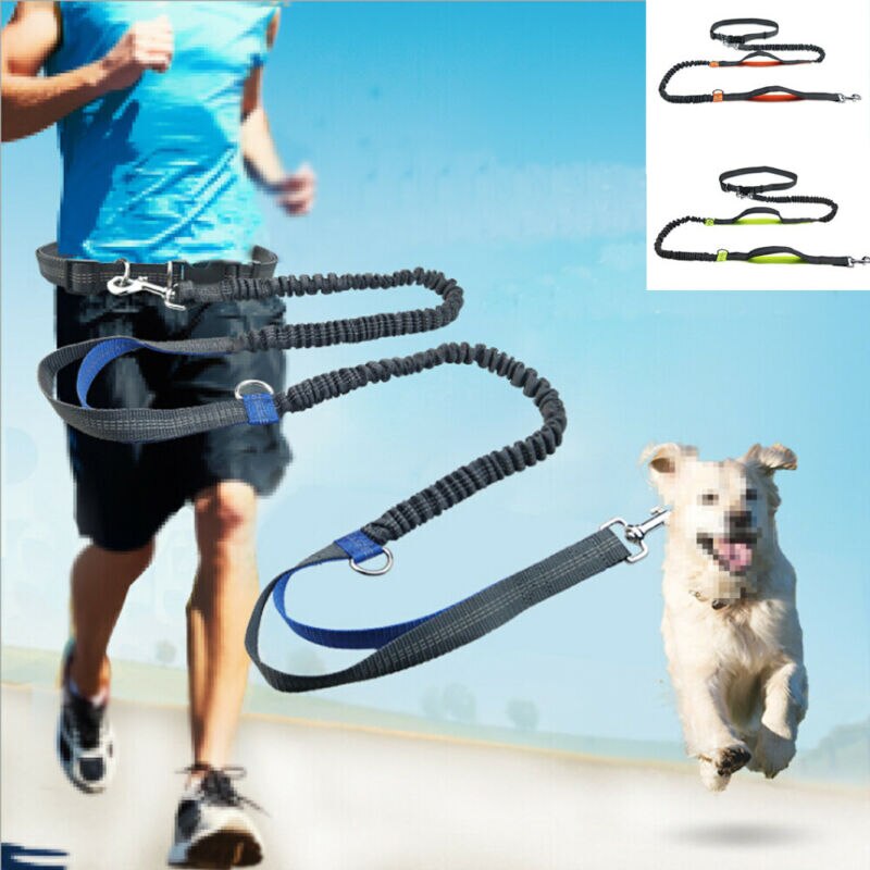 New Arrival Pet Dog Leash Traction Rope Running Belt Reflective Elastic Hands Freely Jogging Reflective Traction Rope