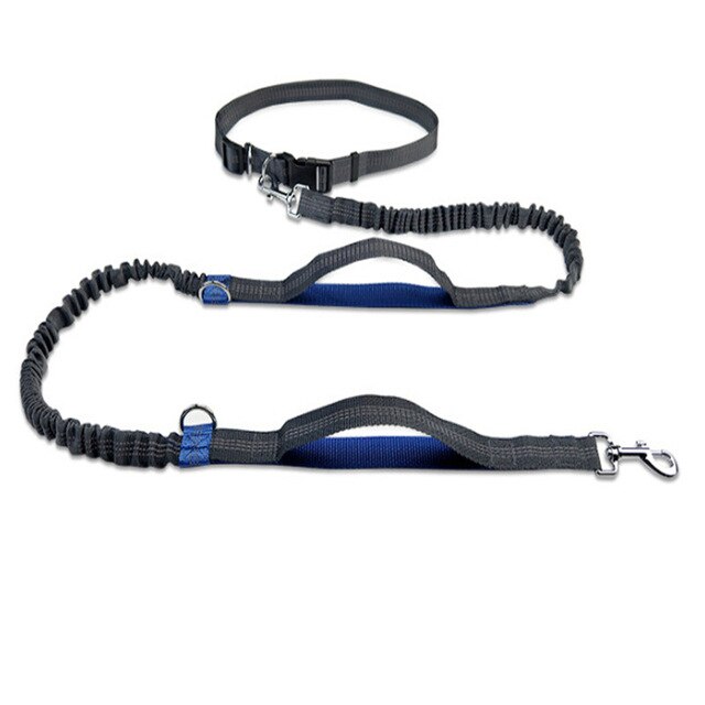 New Arrival Pet Dog Leash Traction Rope Running Belt Reflective Elastic Hands Freely Jogging Reflective Traction Rope
