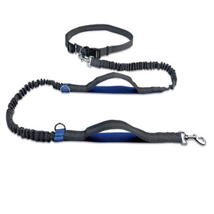 New Arrival Pet Dog Leash Traction Rope Running Belt Reflective Elastic Hands Freely Jogging Reflective Traction Rope