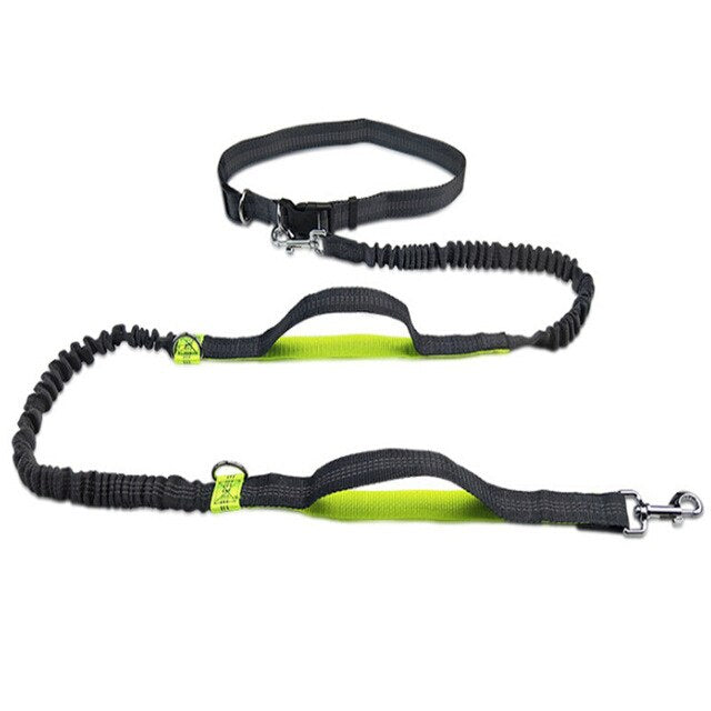 New Arrival Pet Dog Leash Traction Rope Running Belt Reflective Elastic Hands Freely Jogging Reflective Traction Rope