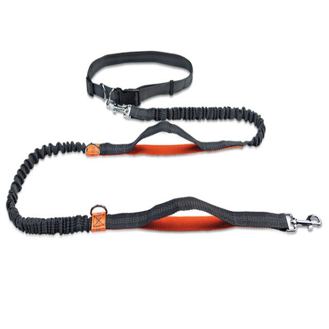 New Arrival Pet Dog Leash Traction Rope Running Belt Reflective Elastic Hands Freely Jogging Reflective Traction Rope