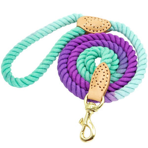 4 Colors Durable Nylon Dog Leash Pet Puppy Walking Training Dog Leash Lead Dogs Leashes Strap Belt Cotton Traction Rope 5ft Long
