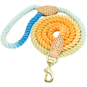 4 Colors Durable Nylon Dog Leash Pet Puppy Walking Training Dog Leash Lead Dogs Leashes Strap Belt Cotton Traction Rope 5ft Long
