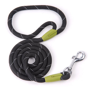 Hachikitty Dog Leash Nylon Pet Dog Puppy Walking Running Leashes Training Rope Belt For Small Medium Large Dogs Pet Supplies