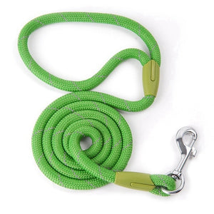 Hachikitty Dog Leash Nylon Pet Dog Puppy Walking Running Leashes Training Rope Belt For Small Medium Large Dogs Pet Supplies