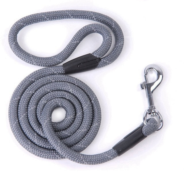 Hachikitty Dog Leash Nylon Pet Dog Puppy Walking Running Leashes Training Rope Belt For Small Medium Large Dogs Pet Supplies