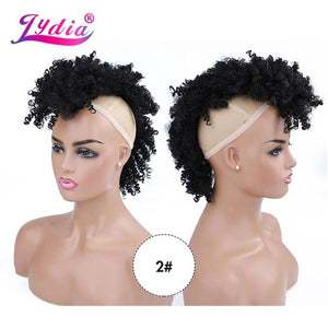 Lydia Synthetic High Puff Afro Short Kinky Curly Middle-Part Wig Clips in Hair Extension African American 90g/PCS Hairpiece