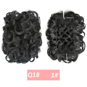 WERD  2 Plastic Comb Clip In Curly Synthetic Hair Pieces Chignon Updo Cover Hairpiece Extension Hair Bun Hair Accessories