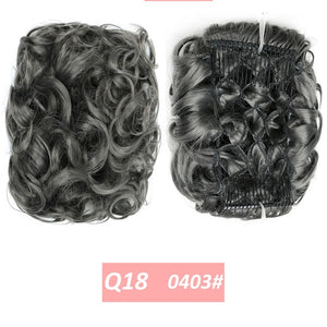 WERD  2 Plastic Comb Clip In Curly Synthetic Hair Pieces Chignon Updo Cover Hairpiece Extension Hair Bun Hair Accessories