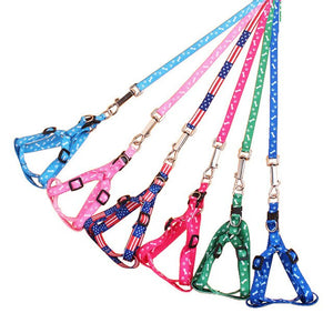Pet Products Universal Practical Cat Dog Safety Adjustable Car Seat Belt  Leash Puppy Seat-belt Travel Clip Strap Leads random