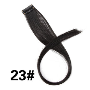 AliLeader Product Highlight One Piece Hair Clip In Extensions Ombre 20 Colors 50Cm Long Straight Synthetic Hairpieces Clip On