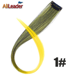 Alileader Clip In One Hairpiece Ombre 20 Colors 50Cm Long Straight Synthetic Hair Extension Clip On Pink Grey 613# Red Blue